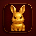 Fortune Rabbit